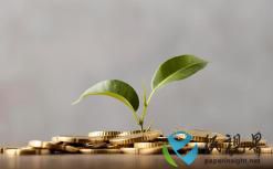 白卡纸发布7月涨价函  优质白马低位布局