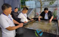 西和麻纸让非遗技艺之美“活”起来