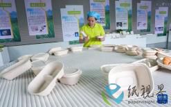 云南：甘蔗渣“变身”环保餐具